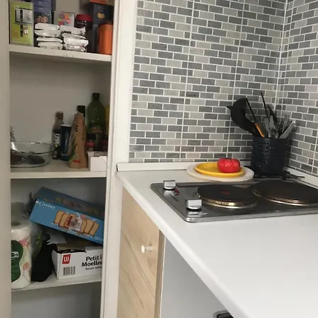 Fully Equipped For 3, Near Negresco